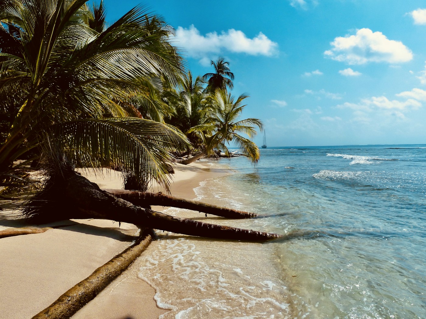 Palm trees and turquoise water in San Blas, Panama